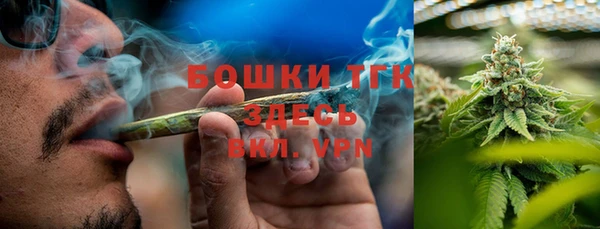 тгк Горнозаводск