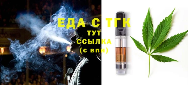 тгк Горнозаводск