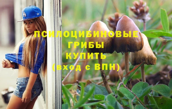тгк Горнозаводск